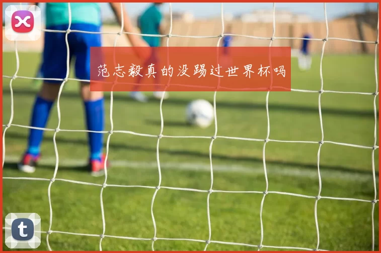 范志毅真的没踢过世界杯吗