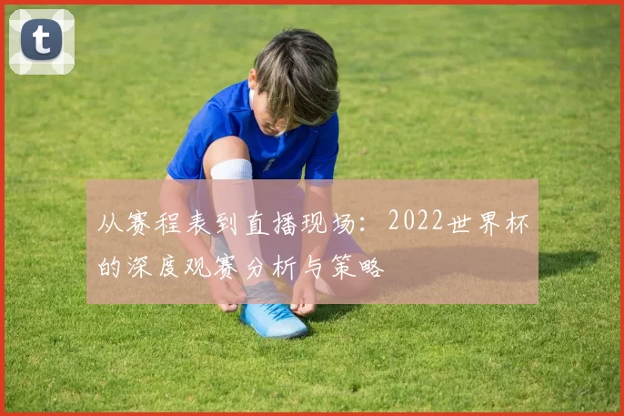 从赛程表到直播现场:2022世界杯的深度观赛分析与策略