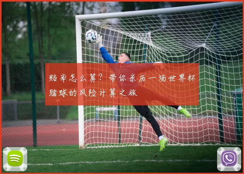 赔率怎么算?带你亲历一场世界杯赌球的风险计算之旅