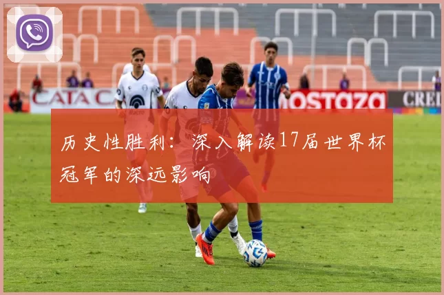 历史性胜利：深入解读17届世界杯冠军的深远影响