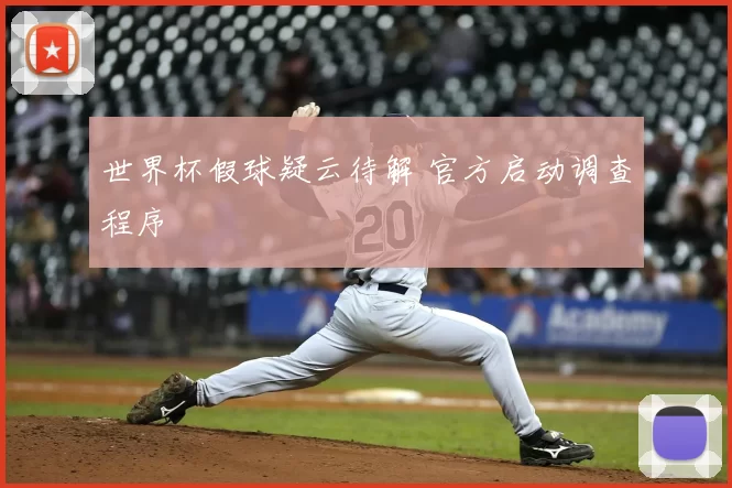 世界杯假球疑云待解 官方启动调查程序
