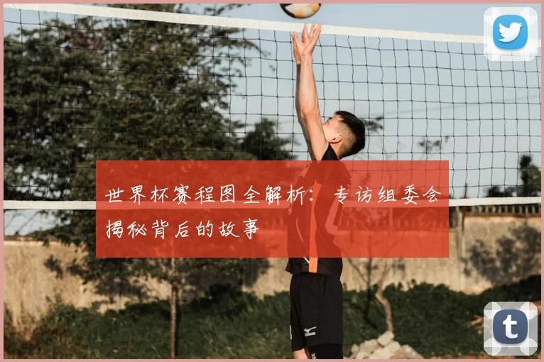 世界杯赛程图全解析：专访组委会揭秘背后的故事