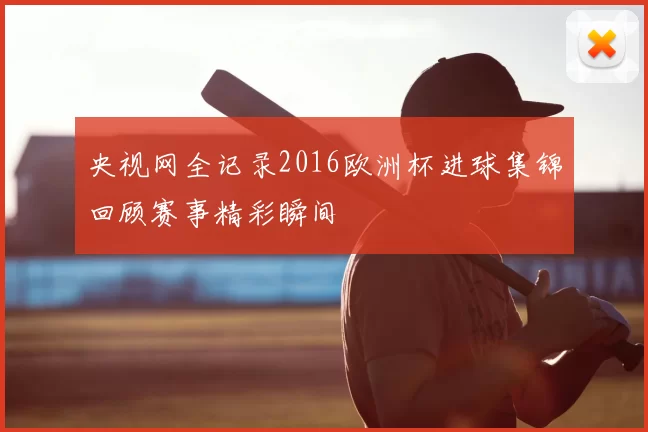 央视网全记录2016欧洲杯进球集锦回顾赛事精彩瞬间
