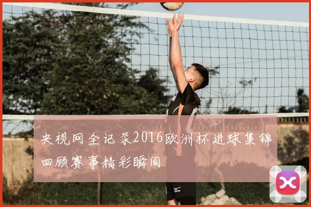 央视网全记录2016欧洲杯进球集锦回顾赛事精彩瞬间