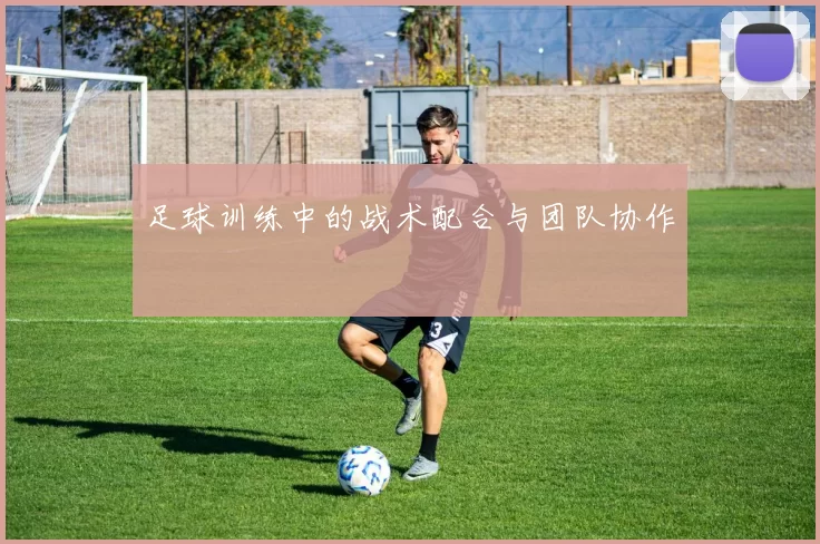 足球训练中的战术配合与团队协作