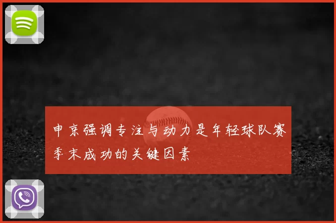 申京强调专注与动力是年轻球队赛季末成功的关键因素