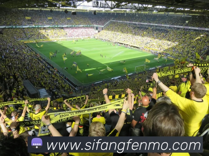 App Interface Preview