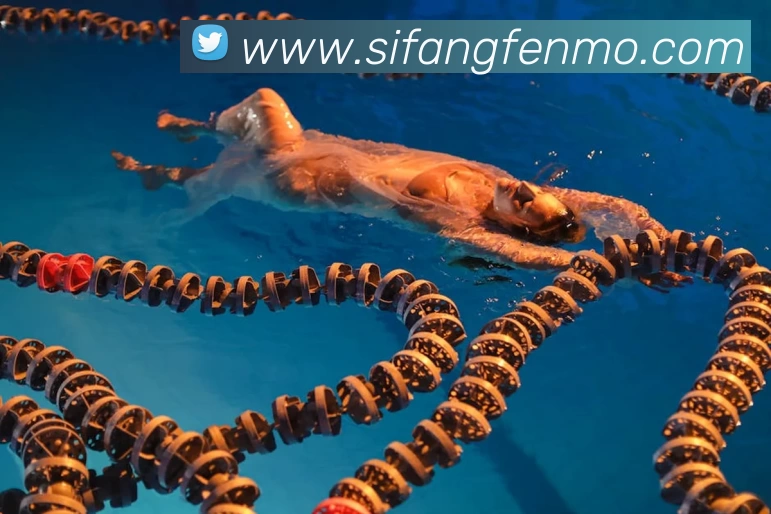 多媒体互动体验